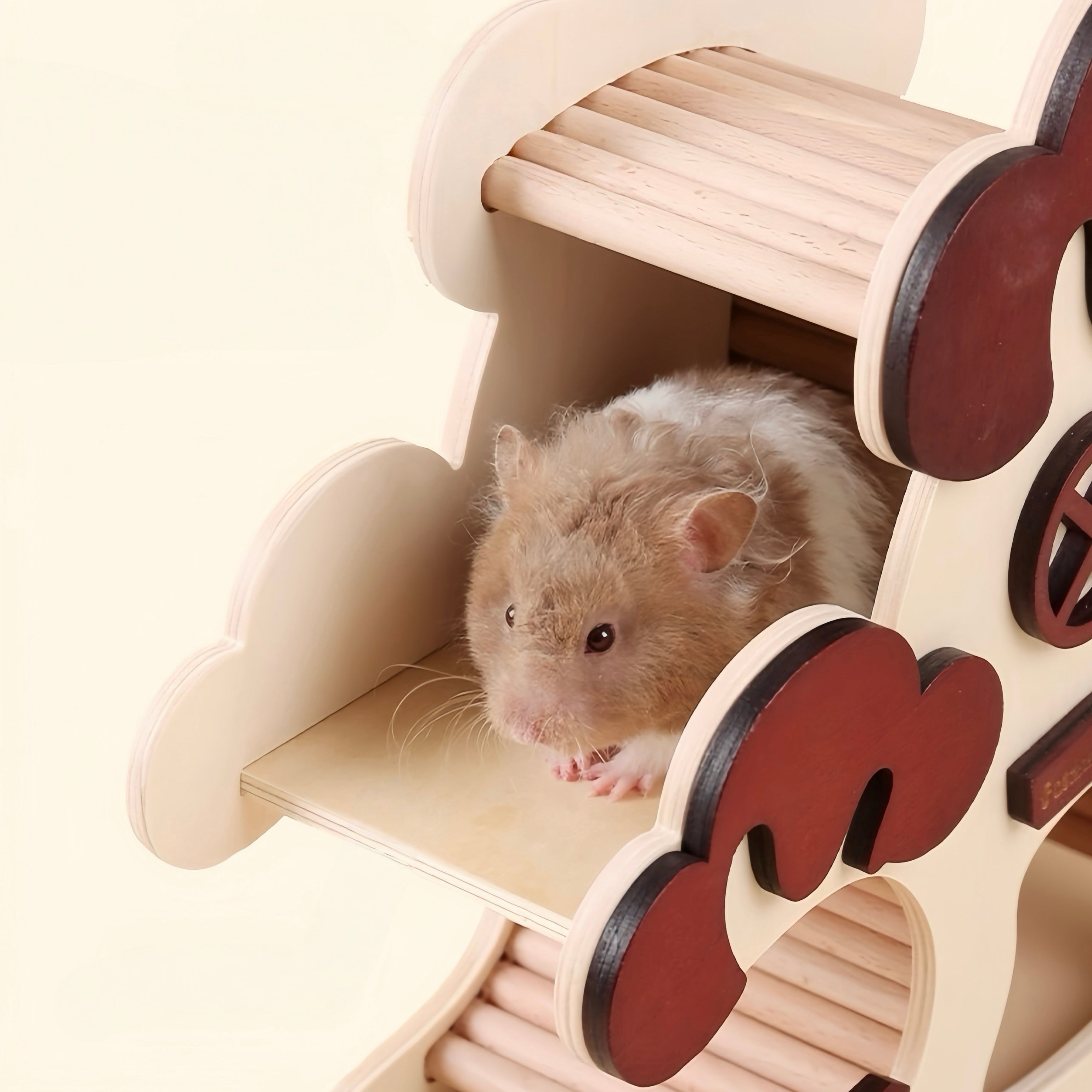 Toys & Habitat Accessories
