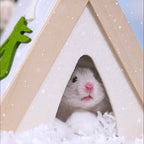 Camping Tent Series Wool Felt Hamster Hideout