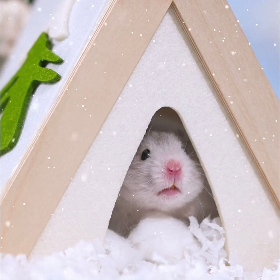 Camping Tent Series Wool Felt Hamster Hideout