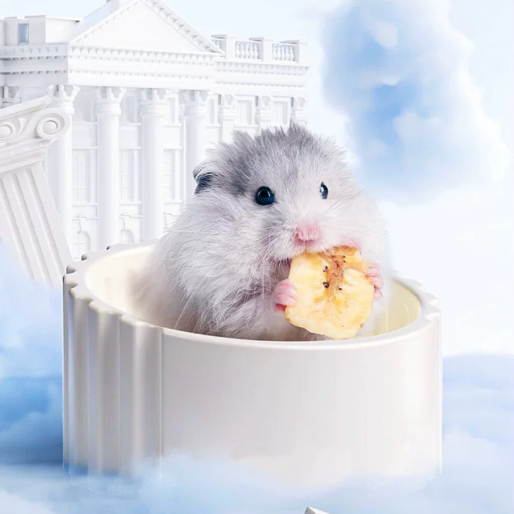 Roman Column Series Ceramic Hamster Food Bowl