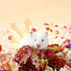 Dry Flower Hamster Bedding