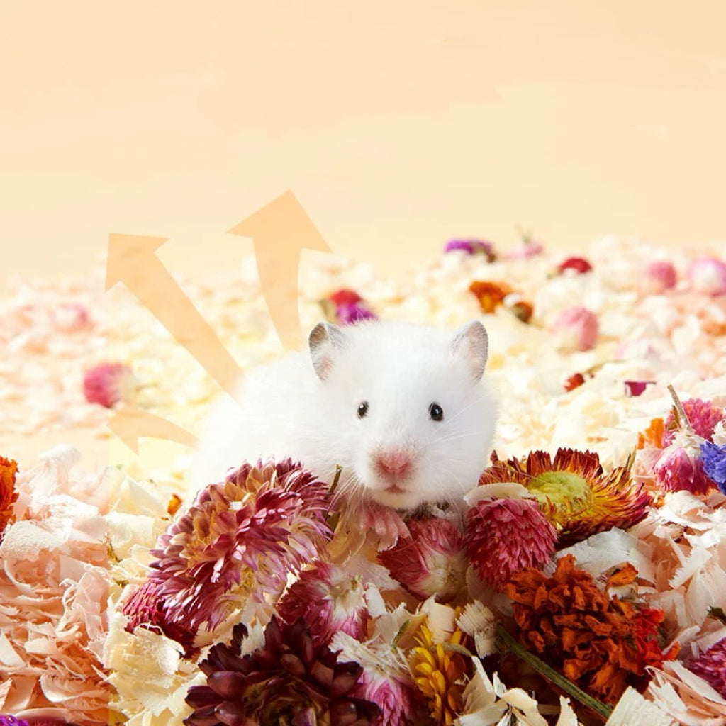 Dry Flower Hamster Bedding