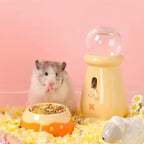 Ceramic Hamster Water Bottle & Food Bowl