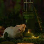 Wonderland Series Hamster Water Bottle